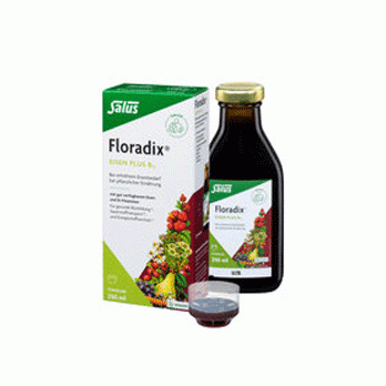 Salus : Floradix Eisen + B 12 Bio Tonikum (250ml)**